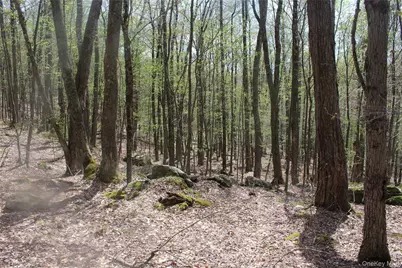 333 Peterson Drive, Roscoe, NY 12776 - Photo 20