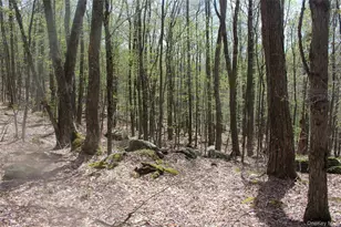 333 Peterson Dr, Roscoe, NY 12776 - Photo 20