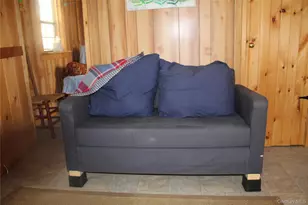 333 Peterson Dr, Roscoe, NY 12776 - Photo 12