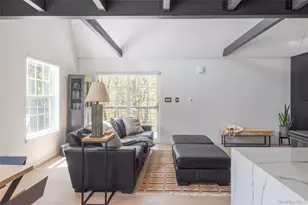 57 Sheryl Davis Rd, Livingston Manor, NY 12758 - Photo 8