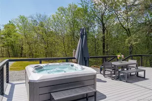 57 Sheryl Davis Rd, Livingston Manor, NY 12758 - Photo 6