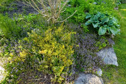 5 Valley Farm Road, Millbrook, NY 12545 - Photo 30