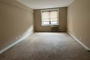 101 Jackson Ave, Mineola, NY 11501 - Photo 20