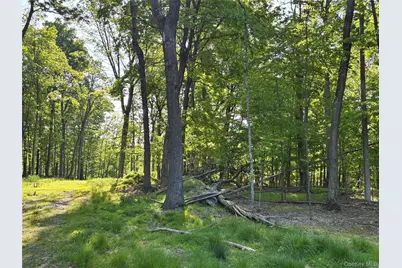 South Plank Road, Westtown, NY 10998 - Photo 10