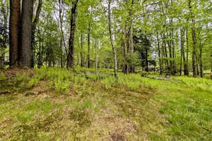 628 Lakeshore Dr, Smallwood, NY 12778 - Photo 36