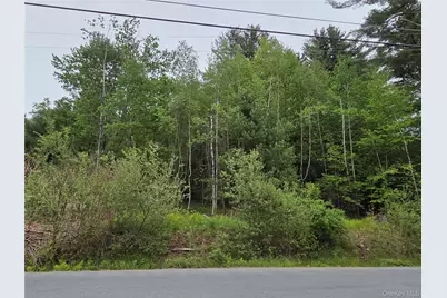 125 Zimmerman Road, Loch Sheldrake, NY 12733 - Photo 38