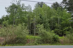 125 Zimmerman Rd, Loch Sheldrake, NY 12733 - Photo 38