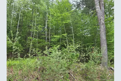 125 Zimmerman Road, Loch Sheldrake, NY 12733 - Photo 42