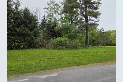 125 Zimmerman Road, Loch Sheldrake, NY 12733 - Photo 40