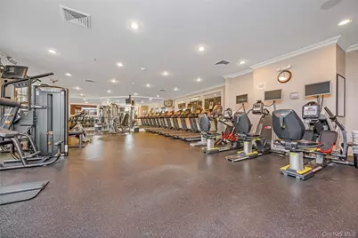 246 Roosevelt Way #11103, Westbury, NY 11590 - Photo 24