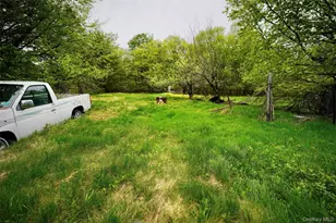 138 Old Hunter Rd, Livingston Manor, NY 12758 - Photo 20