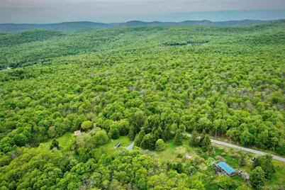 138 Old Hunter Road, Livingston Manor, NY 12758 - Photo 8
