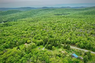 138 Old Hunter Rd, Livingston Manor, NY 12758 - Photo 8