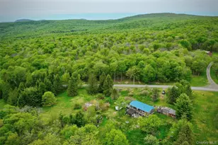 138 Old Hunter Rd, Livingston Manor, NY 12758 - Photo 2