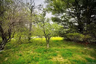 138 Old Hunter Rd, Livingston Manor, NY 12758 - Photo 16
