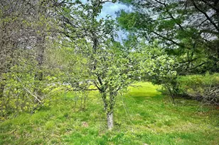 138 Old Hunter Rd, Livingston Manor, NY 12758 - Photo 26