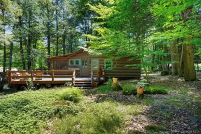 38 W Adirondack Trail, Smallwood, NY 12778 - Photo 1