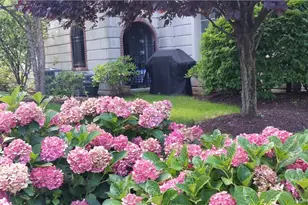 129 W Main St, Tarrytown, NY 10591 - Photo 2