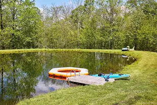 55 Hunter Rd, Parksville, NY 12768 - Photo 28
