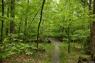 96 Plains Rd, New Paltz, NY 12561 - Photo 42
