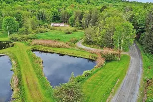 308 William Brown Rd, Fremont Center, NY 12736 - Photo 2
