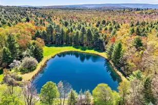 66-68 Spook Hole Rd, Ellenville, NY 12428 - Photo 24