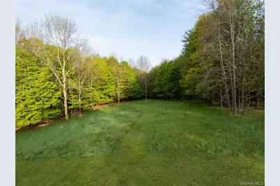 49 Yaun Road, Livingston Manor, NY 12758 - Photo 48