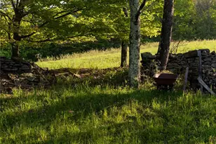 49 Yaun Rd, Livingston Manor, NY 12758 - Photo 50