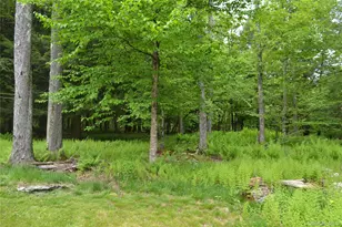 113 Lake Muskoday Rd, Roscoe, NY 12776 - Photo 22