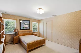 119 Plainview Rd, Woodbury, NY 11797 - Photo 28
