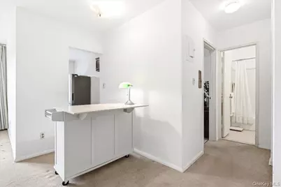 68-15 Selfridge Street #4F, Forest Hills, NY 11375 - Photo 10