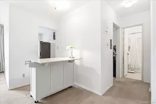 68-15 Selfridge St, Forest Hills, NY 11375 - Photo 10