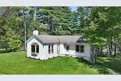 1463 Briscoe Road, Swan Lake, NY 12783 - Photo 1