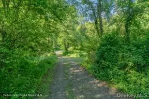 884 Camby Rd, Millbrook, NY 12545 - Photo 4