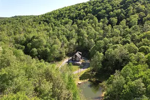 1227 Gulf Rd, Callicoon Center, NY 12724 - Photo 44