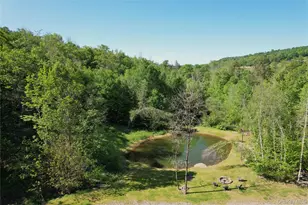 1227 Gulf Rd, Callicoon Center, NY 12724 - Photo 42