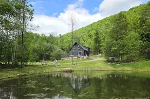 1227 Gulf Rd, Callicoon Center, NY 12724 - Photo 4