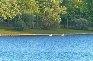 66 Bailey Ct, Middle Island, NY 11953 - Photo 50