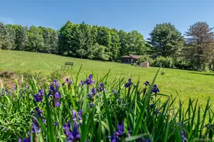 133-141 Shelley Hill Rd, Stanford, NY 12581 - Photo 44