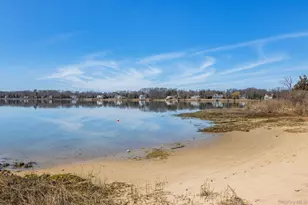 38 Conscience Cir, East Setauket, NY 11733 - Photo 28
