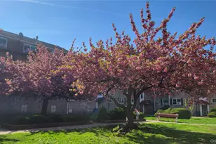 66-10 111th St, Forest Hills, NY 11375 - Photo 2