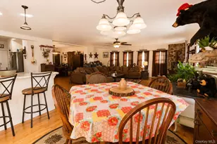 20 County Hwy 17, Thompson Ridge, NY 10985 - Photo 14