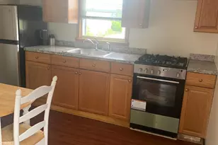 169 Litchfield Ave, Elmont, NY 11003 - Photo 1