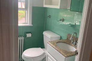 169 Litchfield Ave, Elmont, NY 11003 - Photo 6
