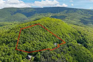 620 Mohican Trail, Glen Spey, NY 12441 - Photo 4