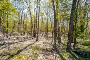 80 Jones Rd, Pine Bush, NY 12566 - Photo 8