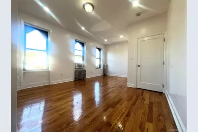 343 Bradford Street #2, Brooklyn, NY 11207 - Photo 8