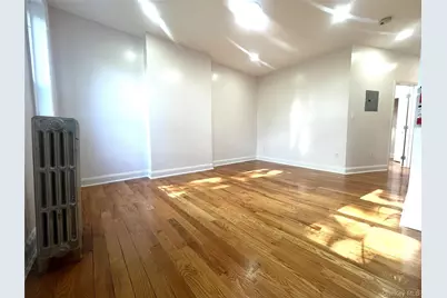 343 Bradford Street #2, Brooklyn, NY 11207 - Photo 10