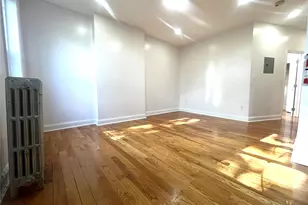 343 Bradford St, Brooklyn, NY 11207 - Photo 10