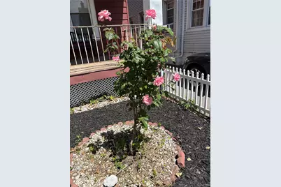 1712 Jarvis Avenue, Bronx, NY 10461 - Photo 2